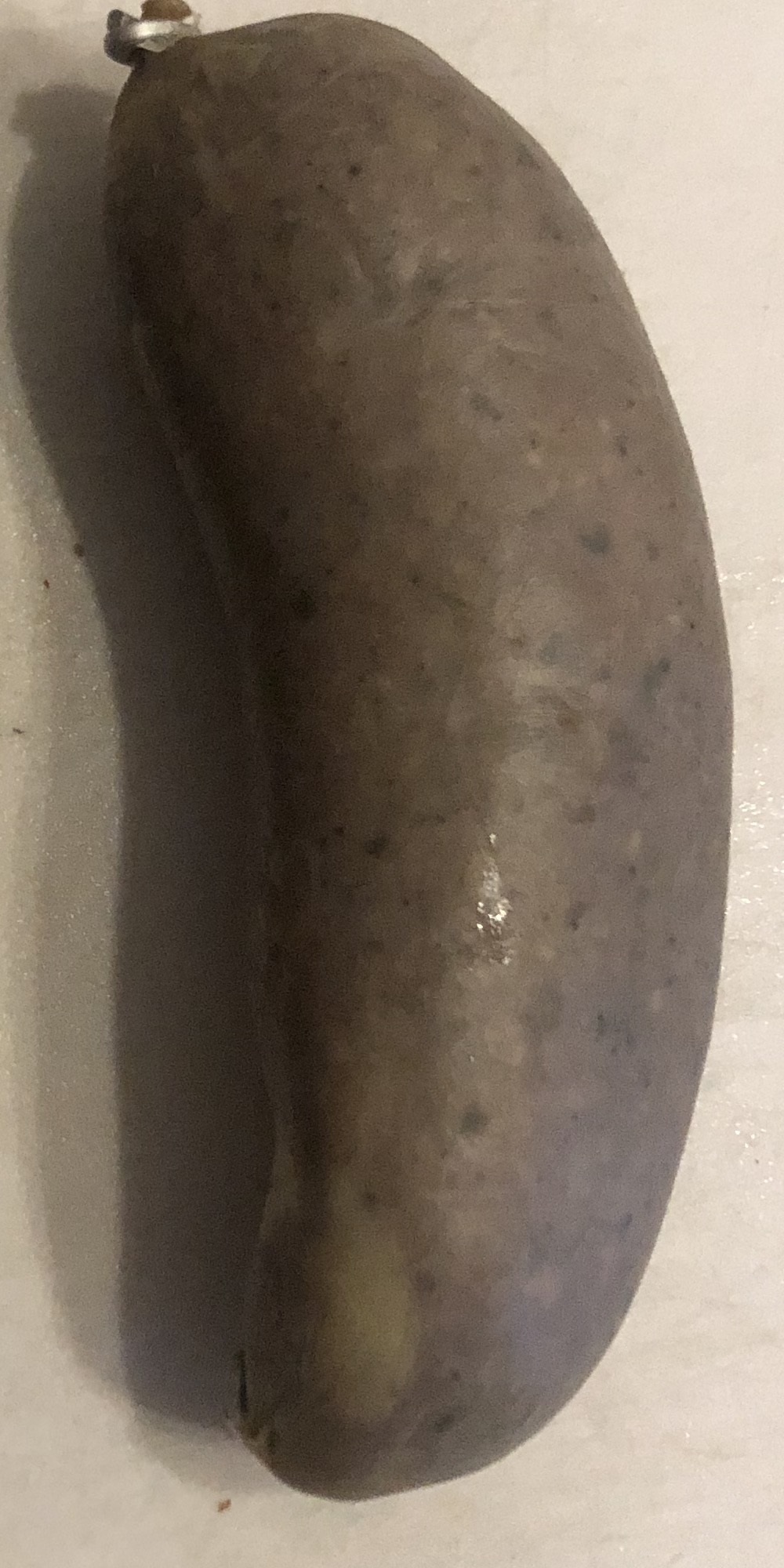 Leberwurst im Darm